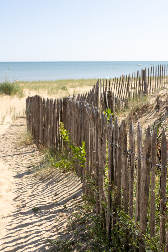 Allée vers une plage de la côte vendéenne 