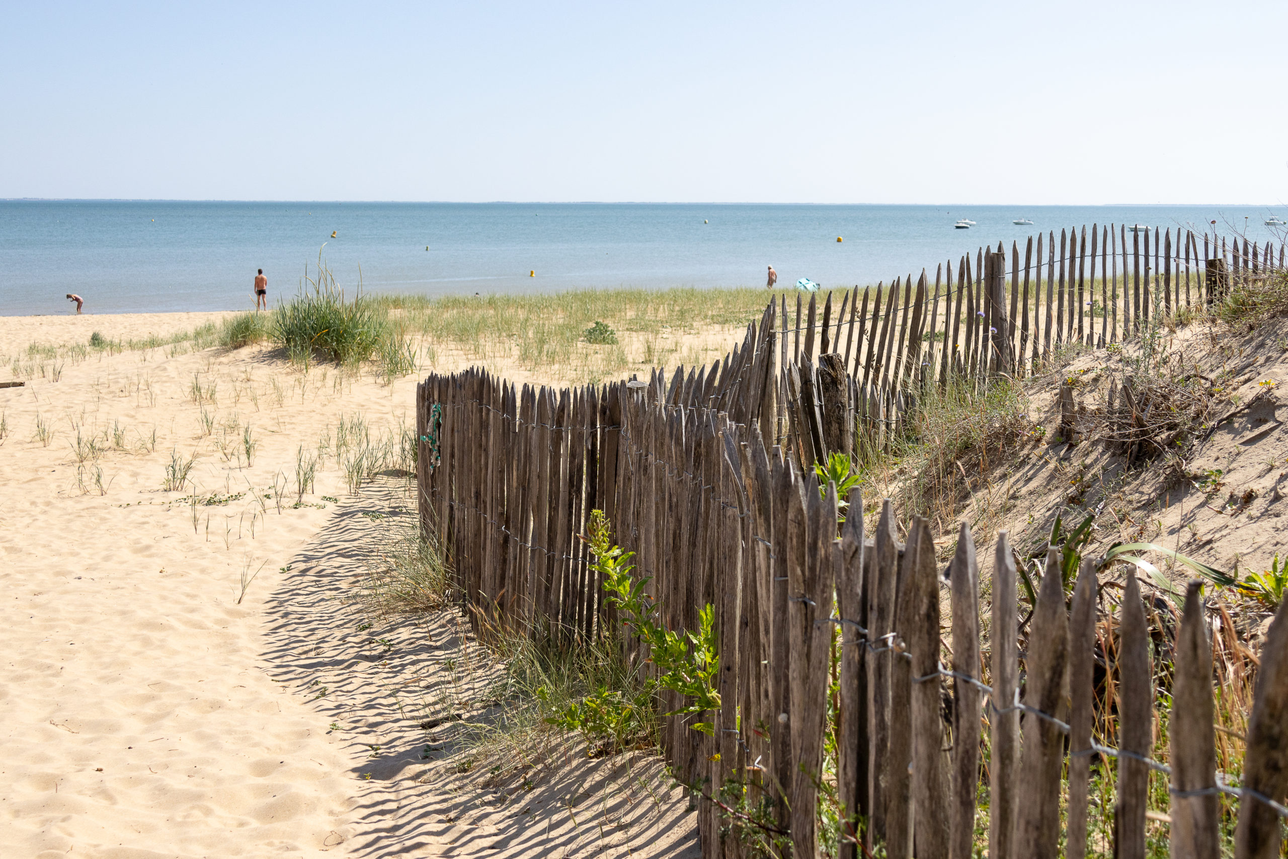 Allée vers une plage de la côte vendéenne